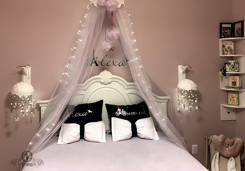 Girl Bedroom design and decor with Butterflies in Paris theme